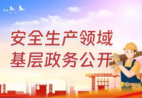 安全生產(chǎn)領(lǐng)域