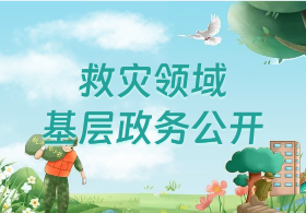 救災(zāi)領(lǐng)域