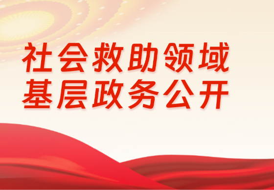 社會救助領域